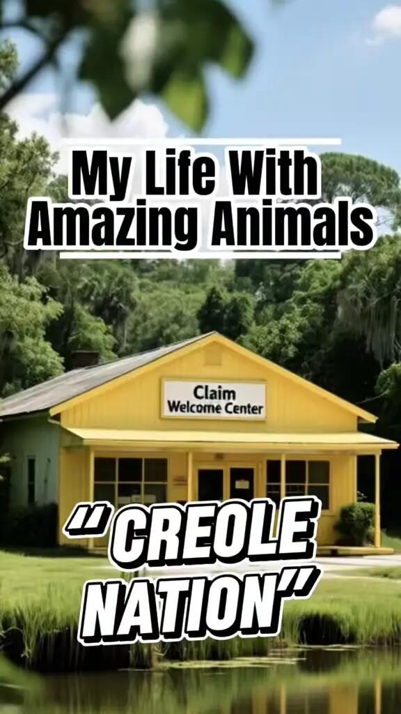 My Life with Amazing Animals