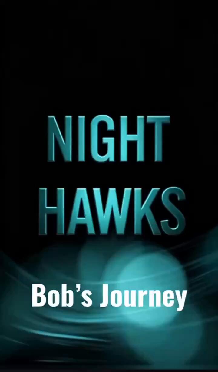 Night Hawks- Chapter 1 - Tunnel Encounter